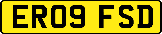 ER09FSD
