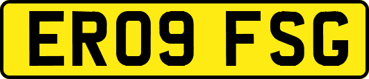 ER09FSG
