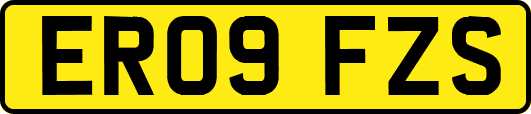ER09FZS