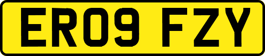 ER09FZY
