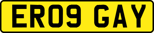 ER09GAY