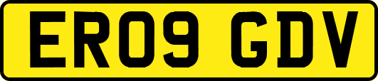 ER09GDV