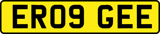 ER09GEE