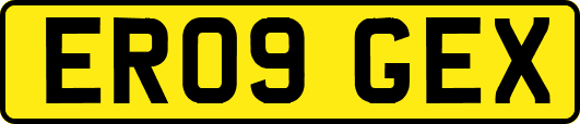 ER09GEX
