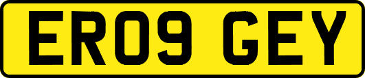 ER09GEY