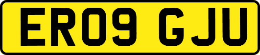 ER09GJU