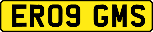 ER09GMS
