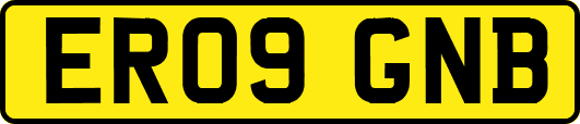 ER09GNB