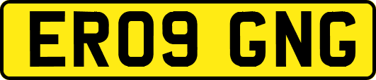 ER09GNG