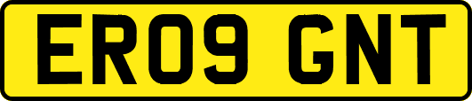 ER09GNT