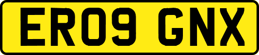 ER09GNX