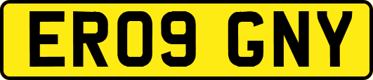 ER09GNY