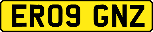 ER09GNZ