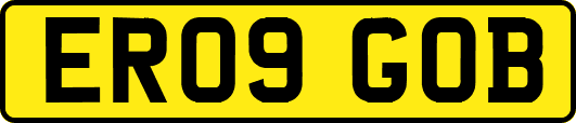 ER09GOB