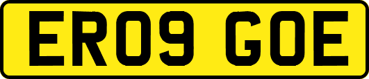 ER09GOE