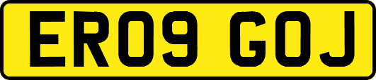 ER09GOJ