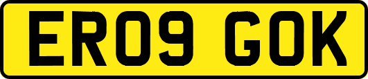 ER09GOK