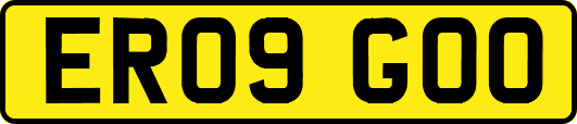 ER09GOO