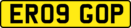 ER09GOP