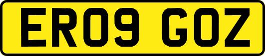ER09GOZ
