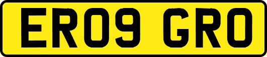 ER09GRO