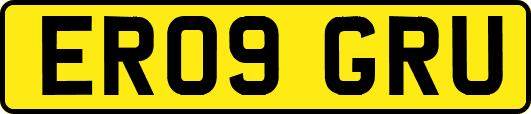 ER09GRU