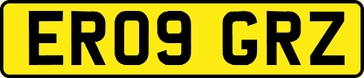 ER09GRZ