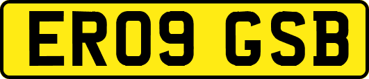 ER09GSB