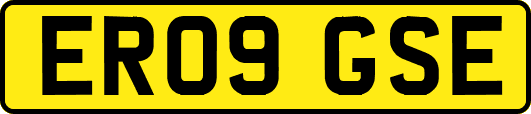 ER09GSE