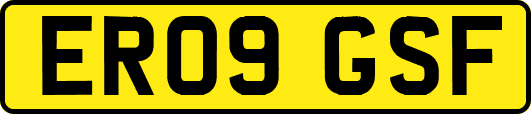 ER09GSF