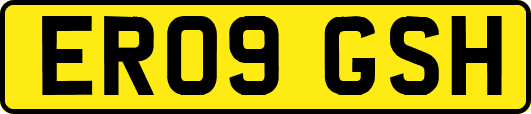 ER09GSH