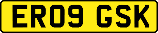 ER09GSK