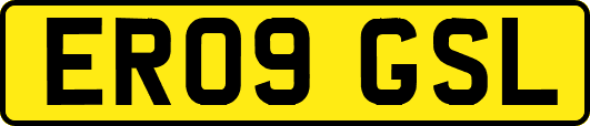 ER09GSL