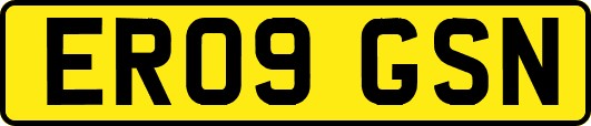 ER09GSN