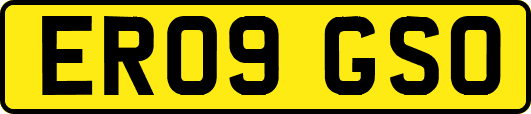 ER09GSO