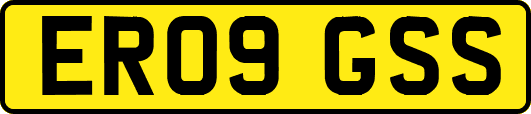 ER09GSS