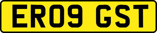 ER09GST