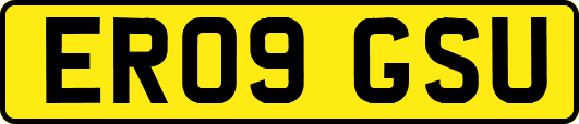 ER09GSU