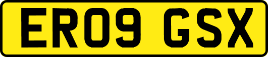 ER09GSX