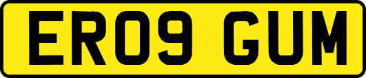 ER09GUM