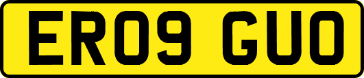 ER09GUO