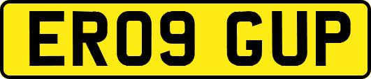ER09GUP