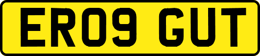ER09GUT