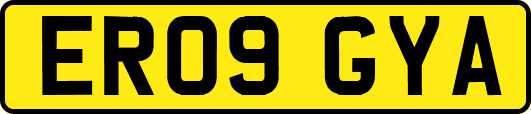 ER09GYA