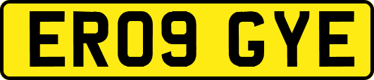 ER09GYE