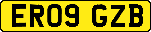 ER09GZB