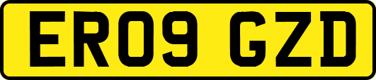 ER09GZD