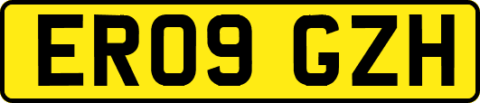 ER09GZH