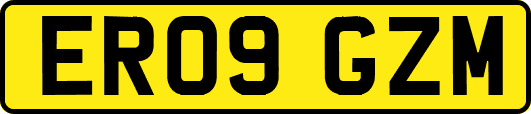 ER09GZM
