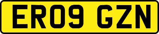 ER09GZN